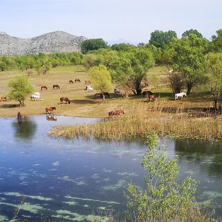 סטינג'ה Wild Beauty House Skadar Lake מראה חיצוני תמונה