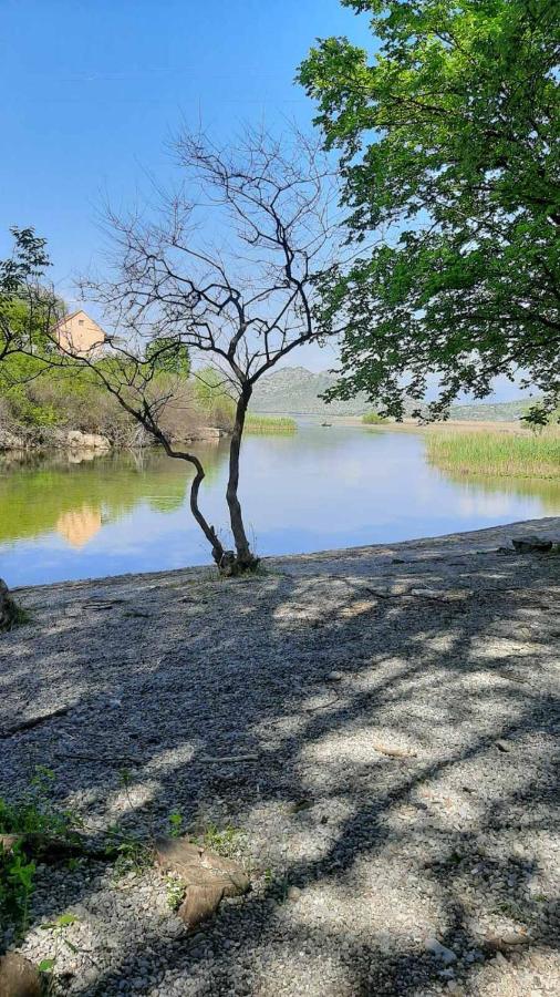 סטינג'ה Wild Beauty House Skadar Lake מראה חיצוני תמונה