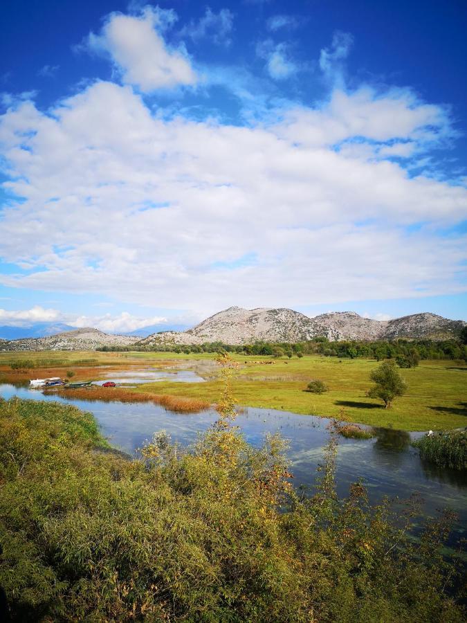 סטינג'ה Wild Beauty House Skadar Lake מראה חיצוני תמונה