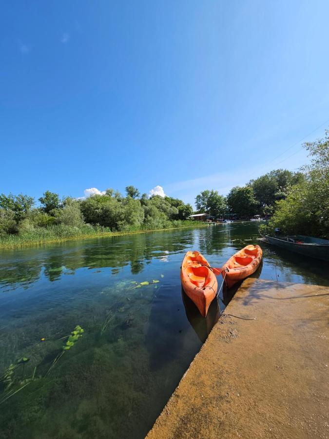 סטינג'ה Wild Beauty House Skadar Lake מראה חיצוני תמונה